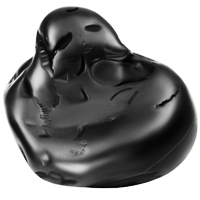 Buddha Shaligram