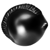 Damodar Shaligram