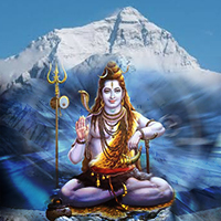 Shiva Pujas 