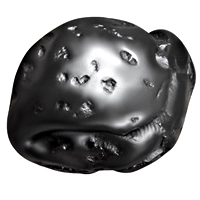 Dwarka Shaligram