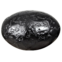 Dwarkadheesh Shaligram