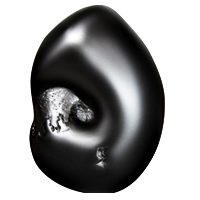 Ganesh Shaligram