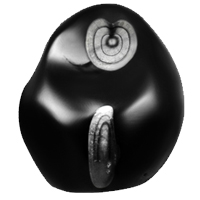 Govind Shaligram