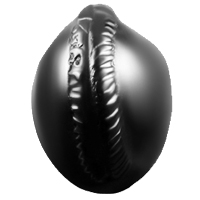 Hayagreeva Shaligram