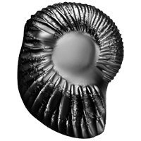 Janardhan Shaligram