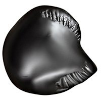 Kalki Shaligram