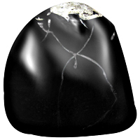 Mansarovar Shaligram