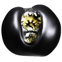 Narsimha Shaligram