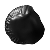 Agni Shaligram