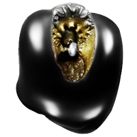 Exotic Narsimha Shaligram