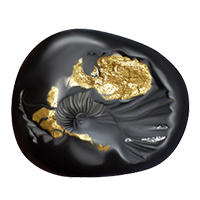 Exotic Navgrah Shaligram