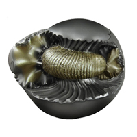 Sacred Shaligram