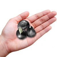 Small Shaligram