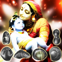 Divya Putra prapti Shaligram