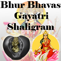 Bhur Bhavas Gayatri Shaligram