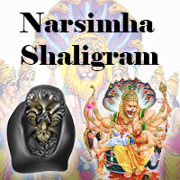 Narsimha Shaligram