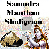 Samudra Manthan Shaligram