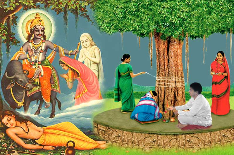 Book Vat Savitri Puja Shaligram Shala